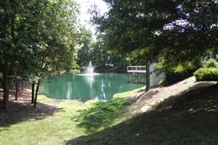 216 Castle Hayne Dr, Cary, NC 27519 - Photo 19