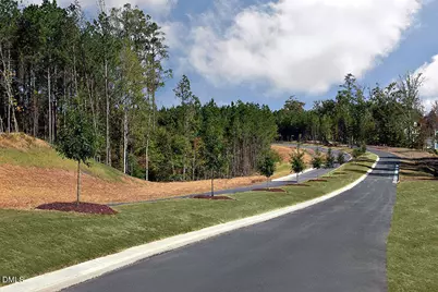 309 Diamond Bluff Lane, Holly Springs, NC 27540 - Photo 45