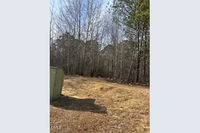 206 Hope Street, Erwin, NC 28339 - Photo 9