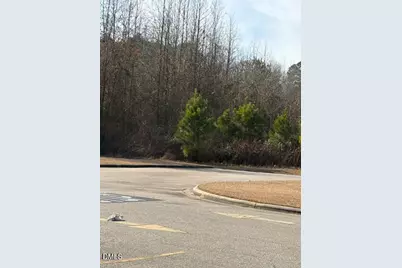 0 Saint Matthews Road, Erwin, NC 28339 - Photo 3