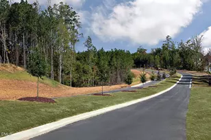 313 Diamond Bluff Ln, Holly Springs, NC 27540 - Photo 29