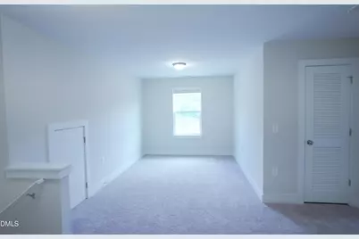 919 Hillman Lane, Mebane, NC 27302 - Photo 53