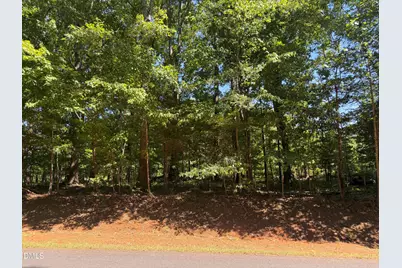 0 Pine Forest Drive S, Siler City, NC 27344 - Photo 3