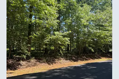 0 Pine Forest Drive S, Siler City, NC 27344 - Photo 11
