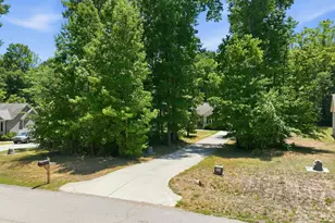 128 Bragg Ln, Hurdle Mills, NC 27541 - Photo 35