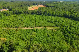 224 Grandpa Way, Spring Hope, NC 27882 - Photo 37