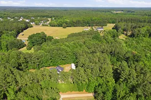 224 Grandpa Way, Spring Hope, NC 27882 - Photo 33