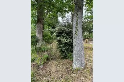 531 Homeland Avenue, Durham, NC 27707 - Photo 3