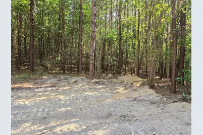 1507 White Drive, Snow Camp, NC 27349 - Photo 55