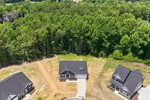 232 Rolling Pasture Wy, Sanford, NC 27332 - Photo 45