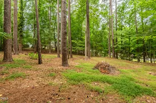 3209 Nimich Pond Way, Raleigh, NC 27613 - Photo 77