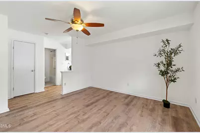 213 Schultz Street, Chapel Hill, NC 27514 - Photo 23