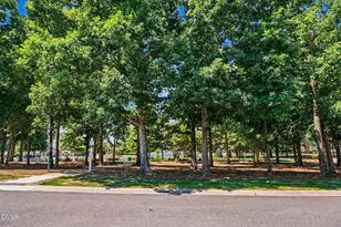 20048 Webb, Chapel Hill, NC 27517 - Photo 39