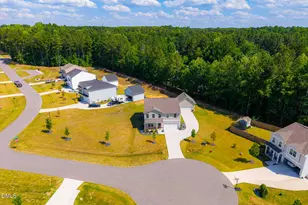 15 New Spg Wy, Franklinton, NC 27525 - Photo 39