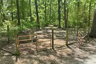 908 Chambers Rd, Rougemont, NC 27572 - Photo 47