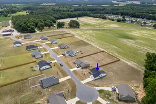 161 Grace Rdg Ct, Benson, NC 27504 - Photo 17