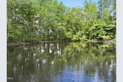 0 Billy Hicks Road, Roxboro, NC 27574 - Photo 15