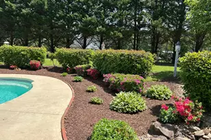 7101 Evelyn Cir, Zebulon, NC 27597 - Photo 37