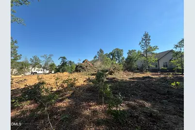 453 Golfers View, Pittsboro, NC 27312 - Photo 5