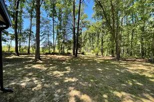541 New Elam Church Rd, Moncure, NC 27559 - Photo 23