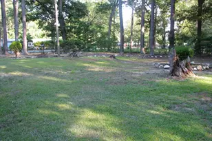 127 Haywood Dr, Roanoke Rapids, NC 27870 - Photo 33