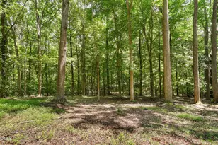 11800 Doc Arnold Dr, Raleigh, NC 27614 - Photo 43