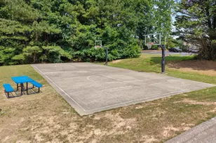 104 Big Laurel Ct, Holly Springs, NC 27540 - Photo 53