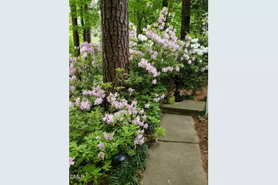 129 Castlefern Drive, Cary, NC 27513 - Photo 51