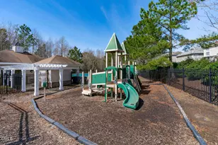 333 Apple Drupe Way, Holly Springs, NC 27540 - Photo 29