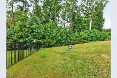 608 Great Eno Path, Hillsborough, NC 27278 - Photo 27