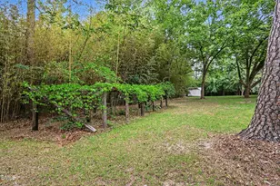 2555 Nutbush Rd, Henderson, NC 27537 - Photo 23