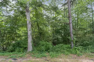 508 Canyon Lake Cir, Morrisville, NC 27560 - Photo 43