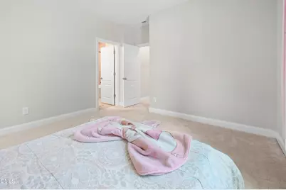 2901 Macintosh Woods Drive, Apex, NC 27502 - Photo 29