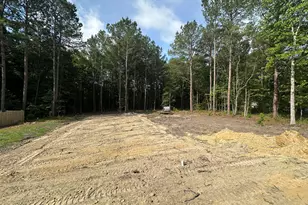 368 Bald Eagle Ln, Kenly, NC 27542 - Photo 11