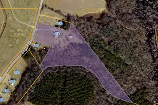 618 Bogue Rd, Fremont, NC 27830 - Photo 37