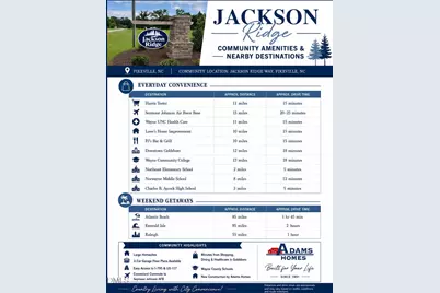 106 Jackson Rdg Way, Pikeville, NC 27863 - Photo 33