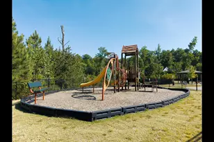 145 Walking Path Pl, Hillsborough, NC 27278 - Photo 39