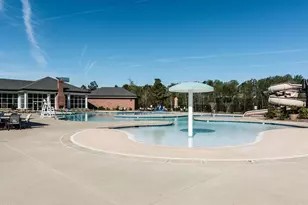 137 Lucky Ribbon Ln, Holly Springs, NC 27540 - Photo 43