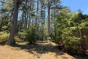 174 Pine Cone Dr, Oxford, NC 27565 - Photo 13