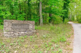 519 US-70, Hillsborough, NC 27278 - Photo 59