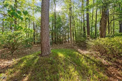 6017 Dodsworth Drive, Raleigh, NC 27612 - Photo 61
