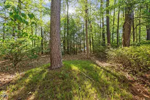 6017 Dodsworth Dr, Raleigh, NC 27612 - Photo 61