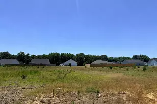200 Jackson Rdg Wy, Pikeville, NC 27863 - Photo 3