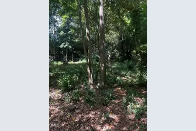 5313 Cypress Lane, Raleigh, NC 27609 - Photo 33