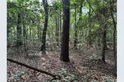 0 Alton Road, Eagle Springs, NC 27242 - Photo 7