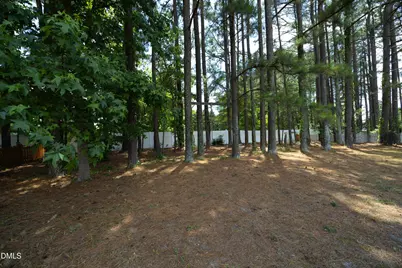 1625 Tall Cane Circle, Willow Springs, NC 27592 - Photo 35