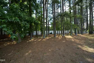 1625 Tall Cane Cir, Willow Springs, NC 27592 - Photo 35