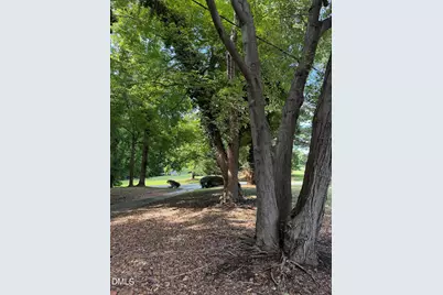 81 Alleghany Drive, Roxboro, NC 27573 - Photo 29