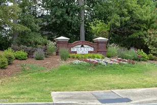 226 Langford Valley Way, Cary, NC 27513 - Photo 45