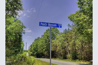 0 Russell Road, Graham, NC 27253 - Photo 19
